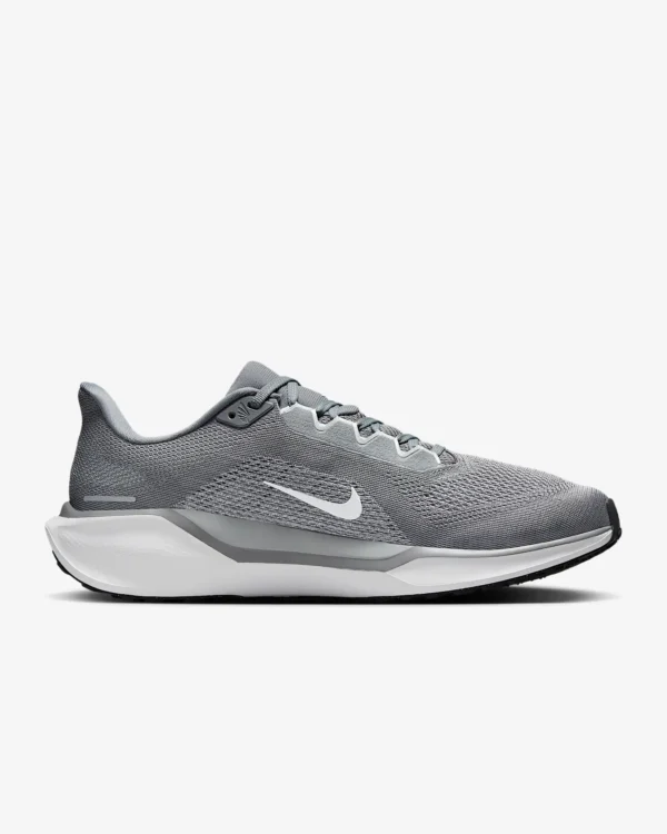 Nike Pegasus 41